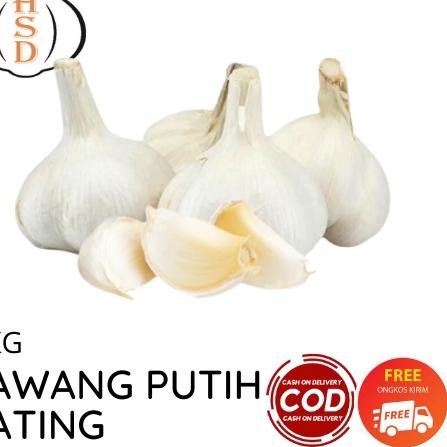 

오 Bawang Putih Kating 1Kg tidak ada yang busuk New