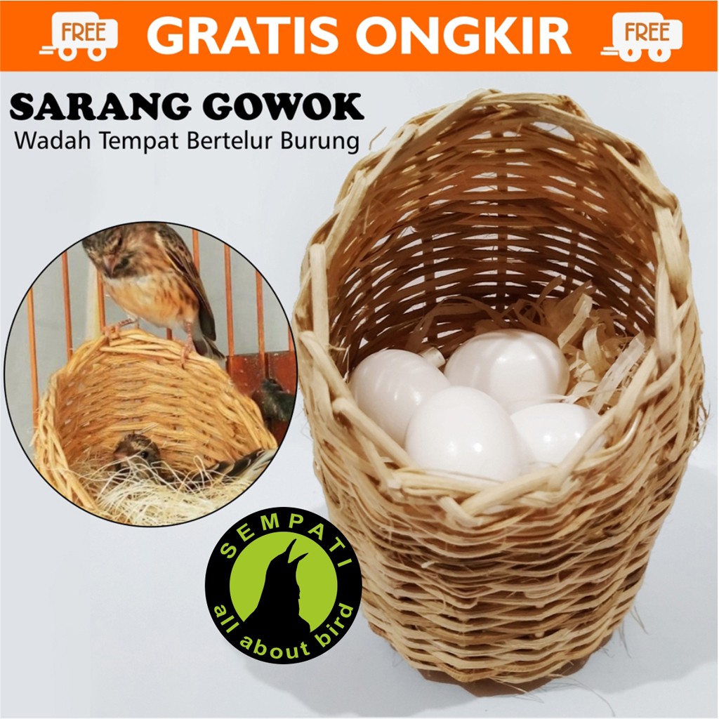 SERAT GOWOK SARANG ROTAN SUSUH TEMPAT BERTELUR BURUNG SERAT GOWOK SARANG ROTAN SUSUH TEMPAT BERTELUR BURUNG