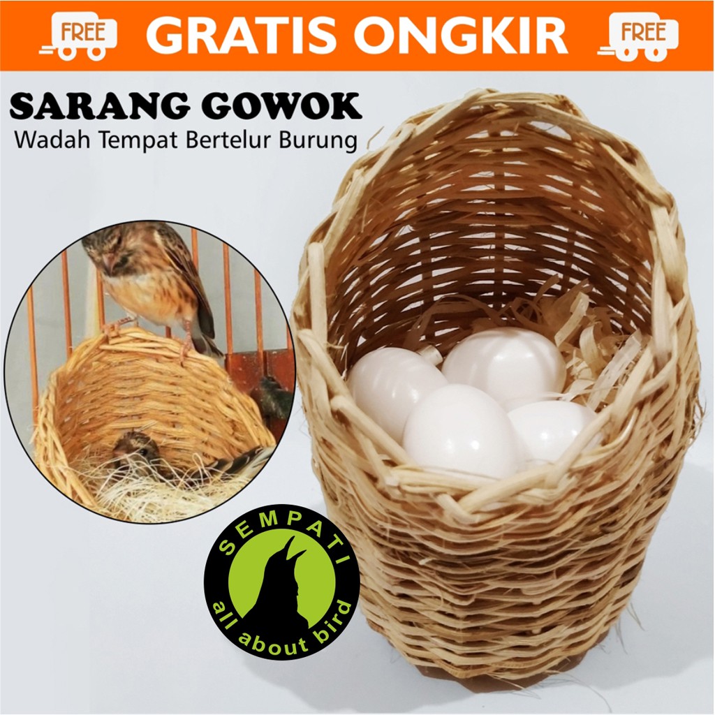  SERAT  GOWOK SARANG ROTAN  SUSUH TEMPAT BERTELUR BURUNG 