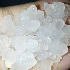 ALGA KRISTAL JEPANG , bibit water kefir