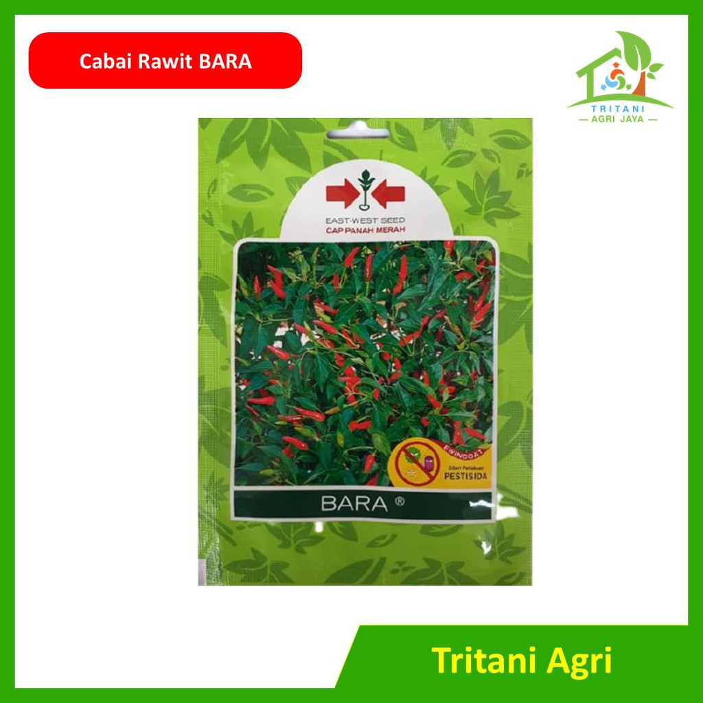 Benih Biji Bibit Cabe Rawit Hijau BARA 500bj