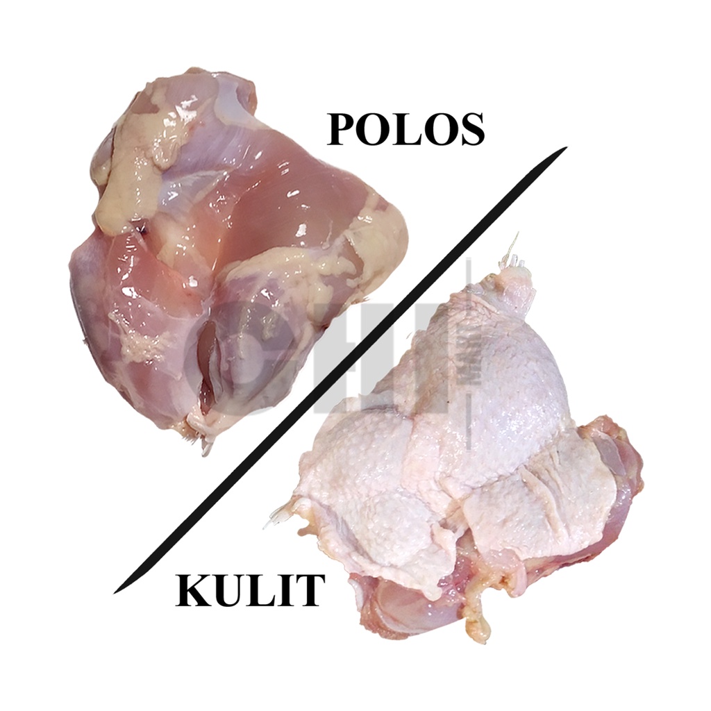 

Paha Ayam Filet [1Kg] SEGAR - (Polos/Kulit/Giling) Broiler FRESH Ayam Potong Negeri Chicken Halal