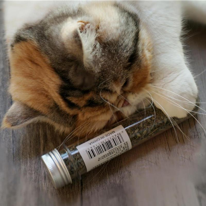 【Yayapet】Catnip Cat Daun Mint Alami Pure Cat Untuk Kucing Catnip Mint Untuk Kucing