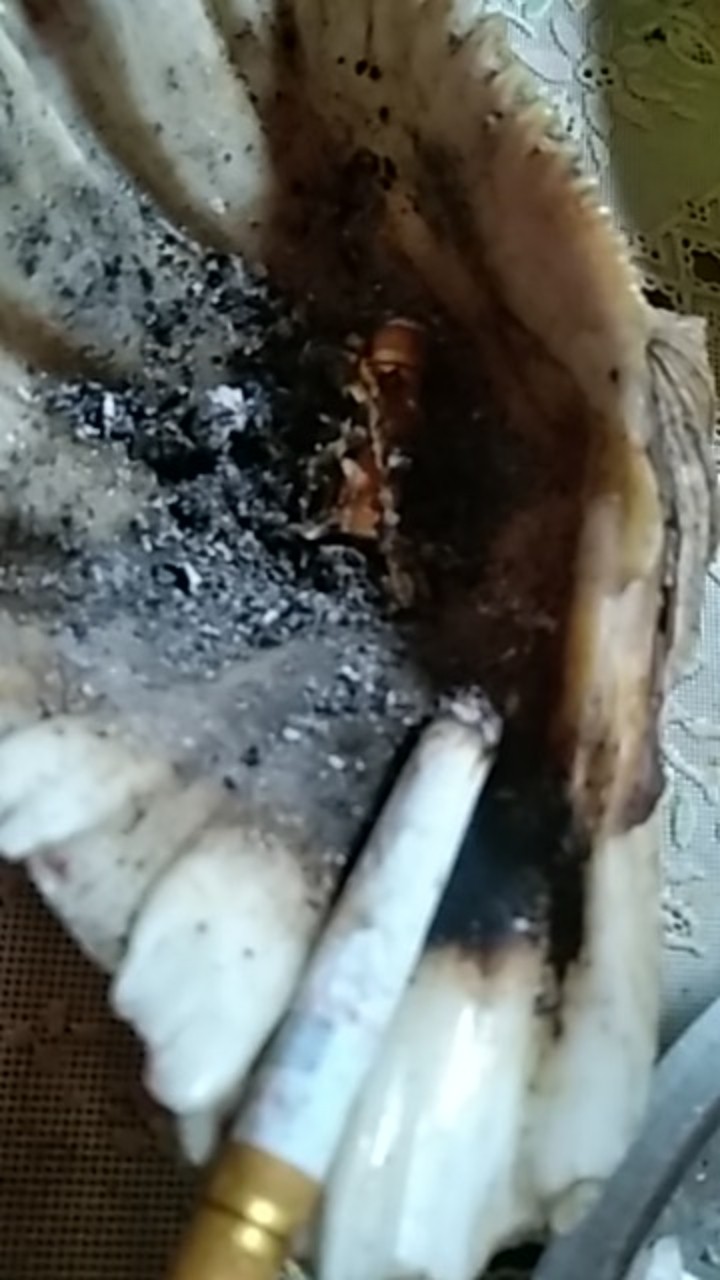 Baju Batik Anak Cewek Cowok 4- 10 Tahun