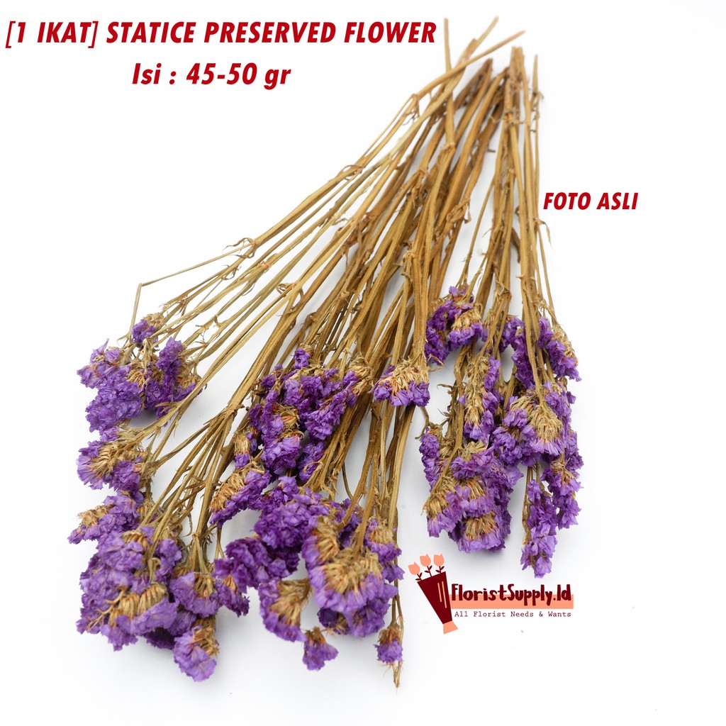 1 Ikat Statice Putih Ungu Forget Me Not Preserved Flower Dried Flower Shopee Indonesia