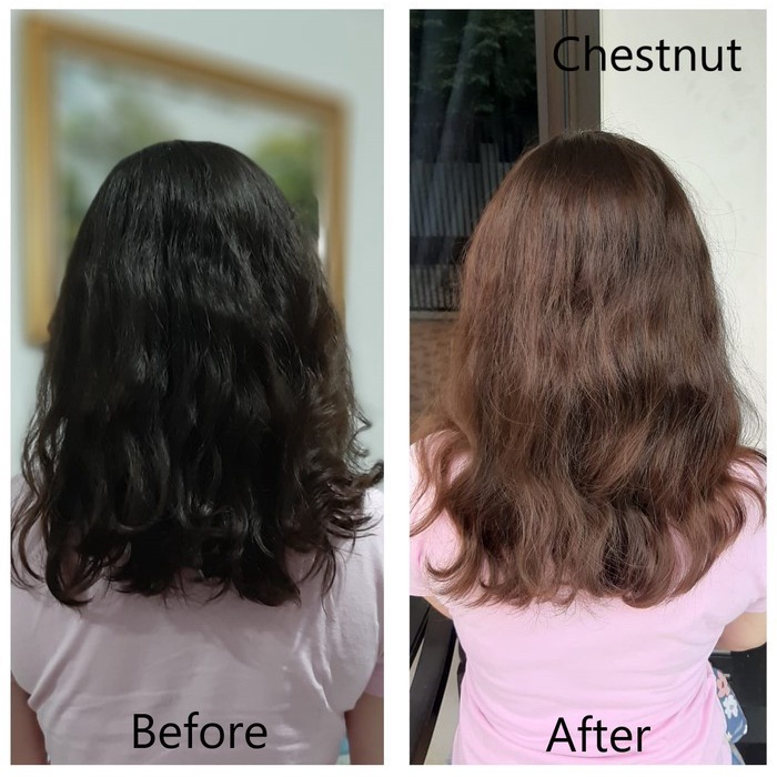 SIN HAIR / Shampoo Pewarna Rambut Herbal Natural Instan - TOP