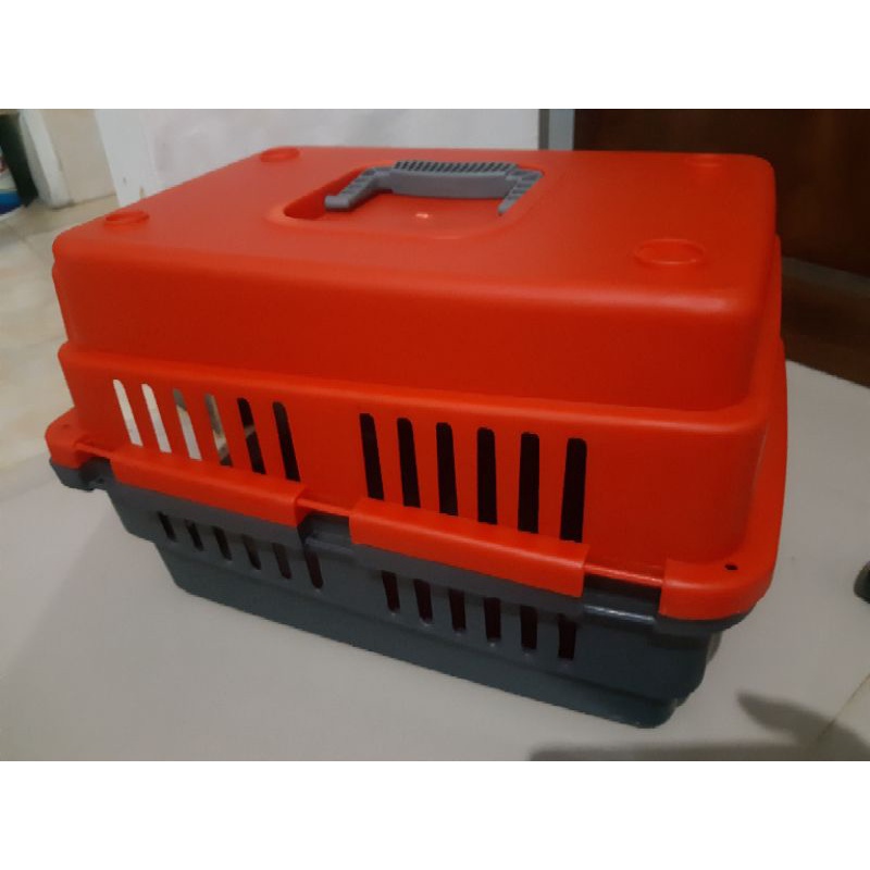 Pet Cargo Kucing Bengal