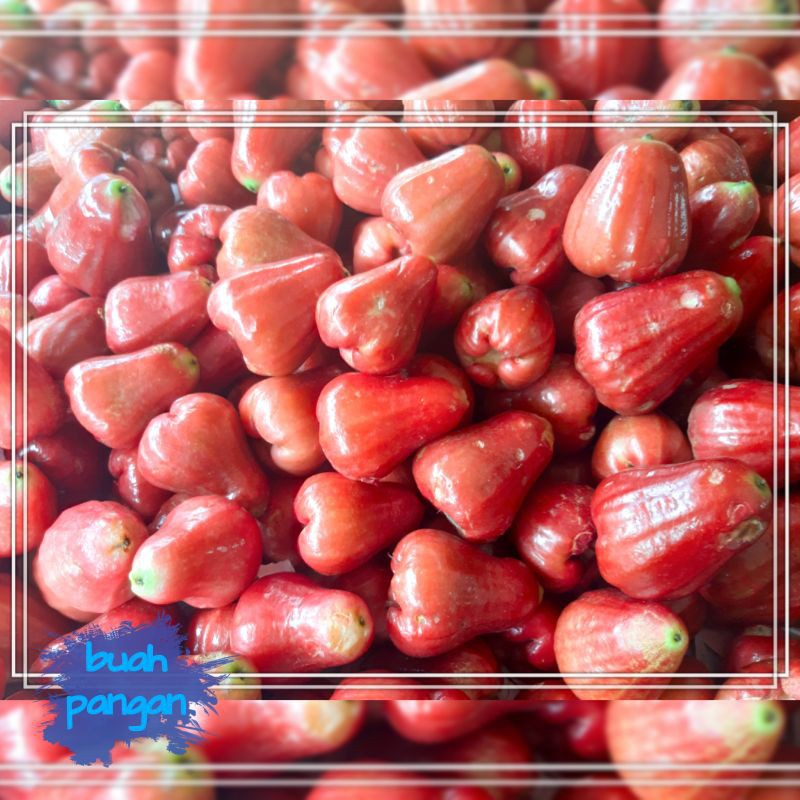 

jambu citra Demak 500gram segar