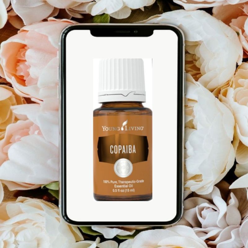 Copaiba essential oil yl