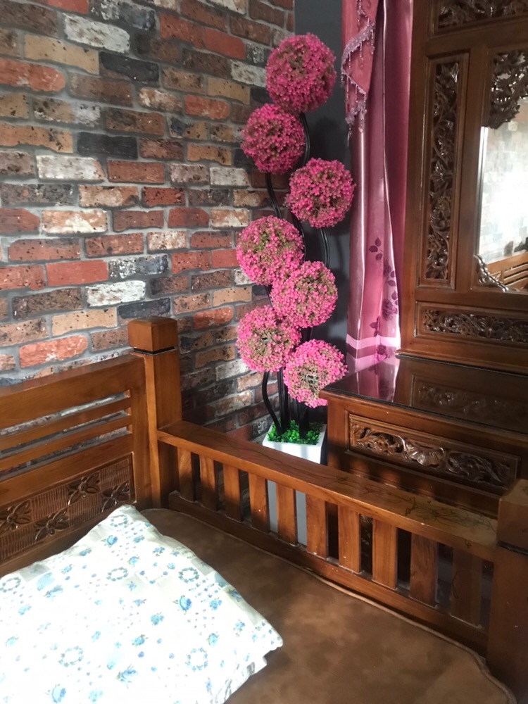 Bonsai Sudut / Bunga Sudut