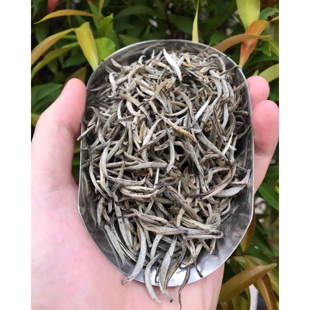 

Teh Putih Silver Needle White Tea 10gr