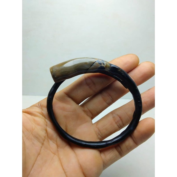 gelang akar bahar asli bonggol