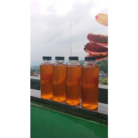 

Madu Murni Langsung Dari Petani Jawa Timur