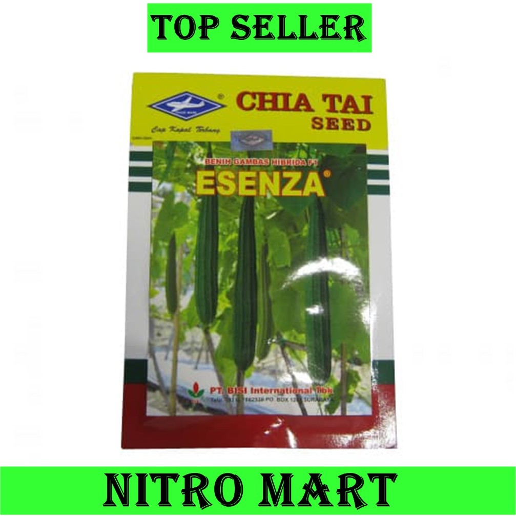 Benih Gambas Hibrida // f1 ESENZA // Kualitas Bagus