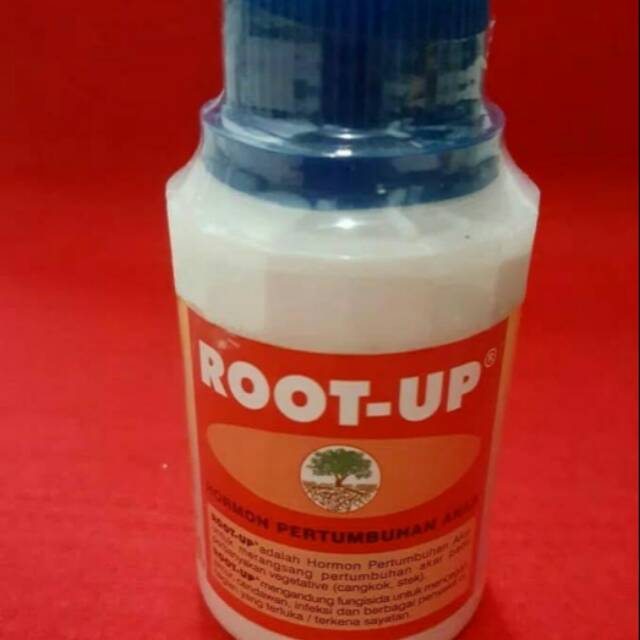 perangsang akar tanaman Root-up