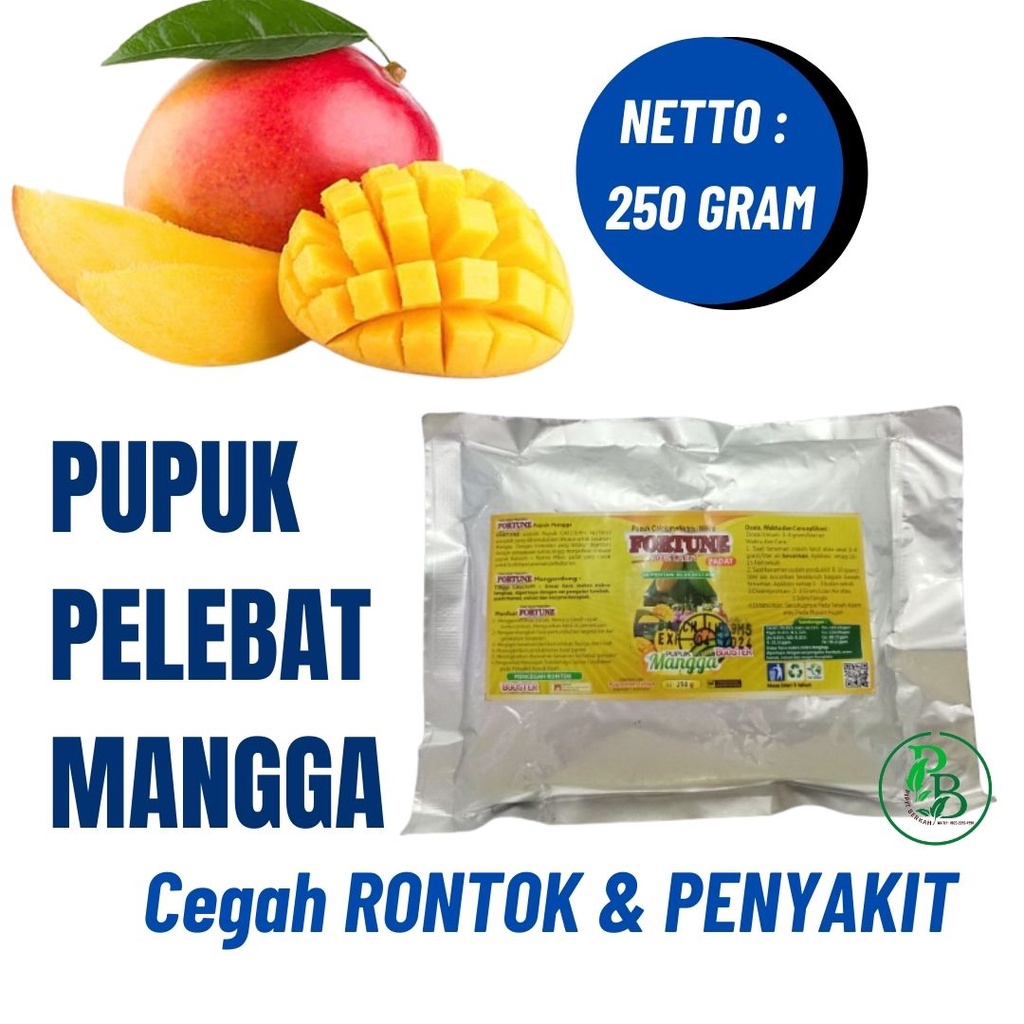 PUPUK pohon mangga cepat berbuah, Pupuk Booster Buah Mangga, Pupuk Buah Mangga Terbaik