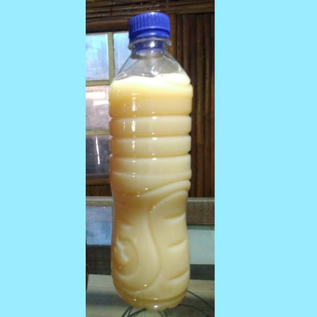 

Madu Putih
