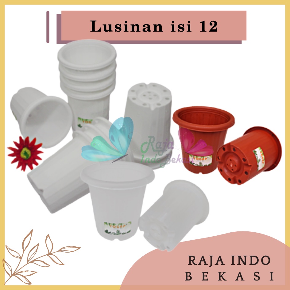 LUSINAN Pot Yogap 8