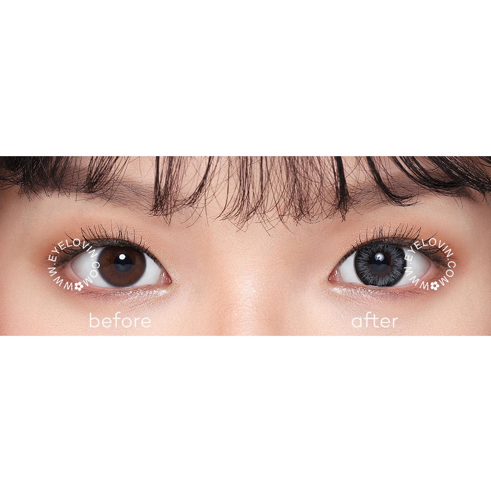 EYELOVIN Softlens Holicat - Sexy Grey