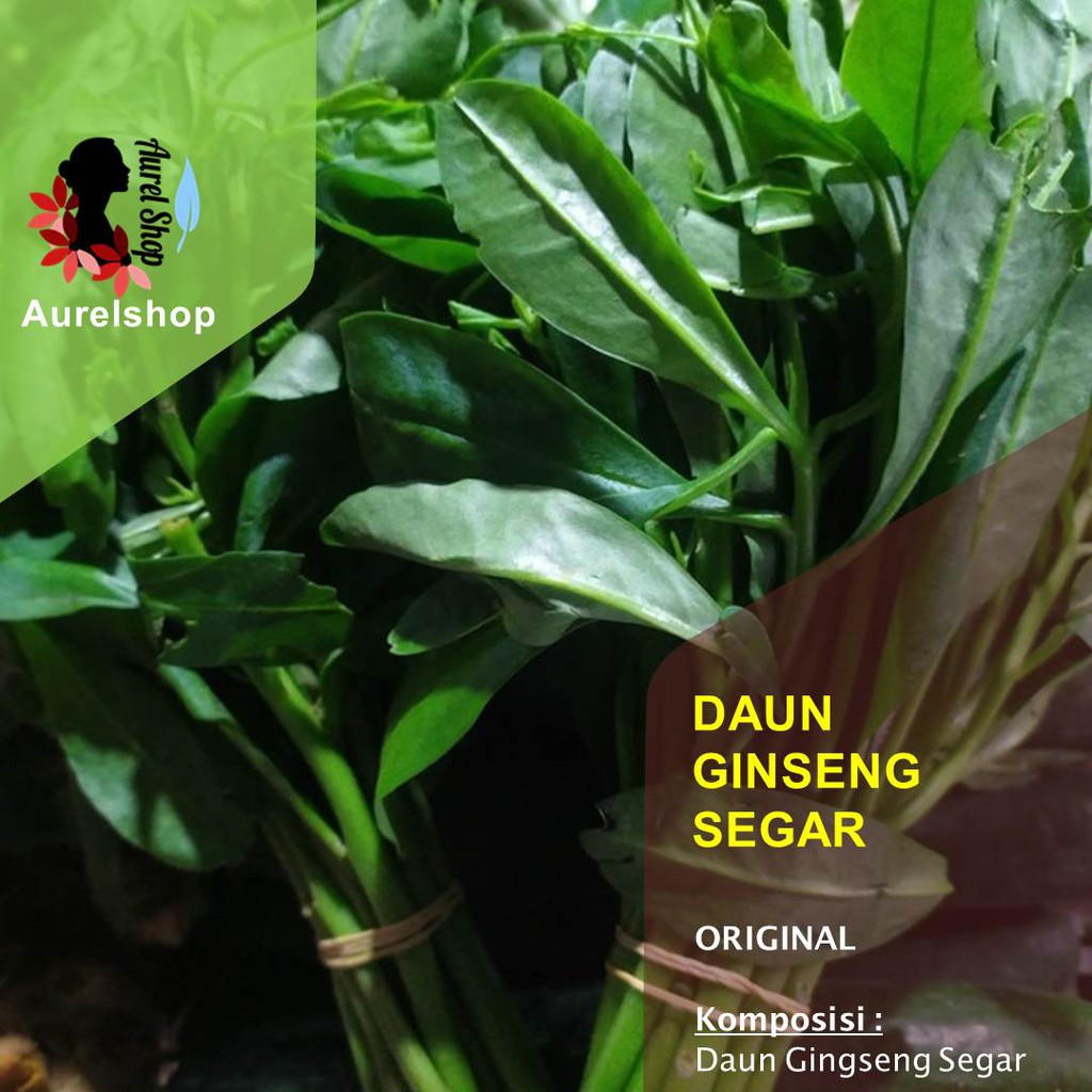 

Daun Ginseng Segar 1 kg