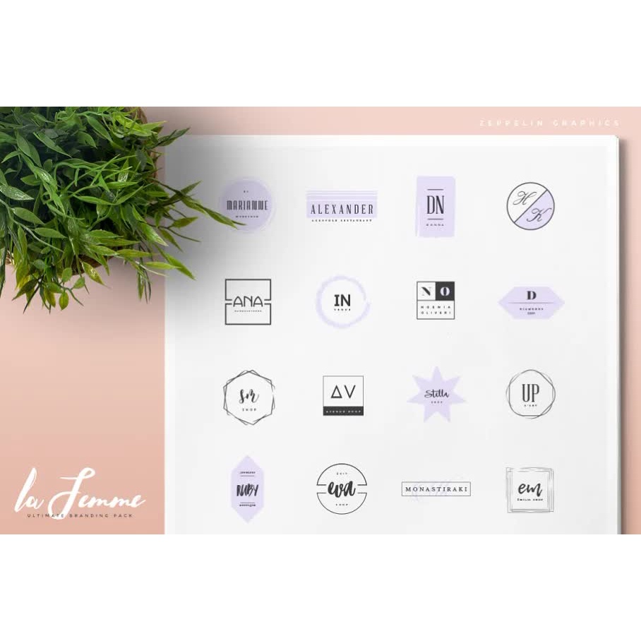 250 Feminine Logo Branding Pack