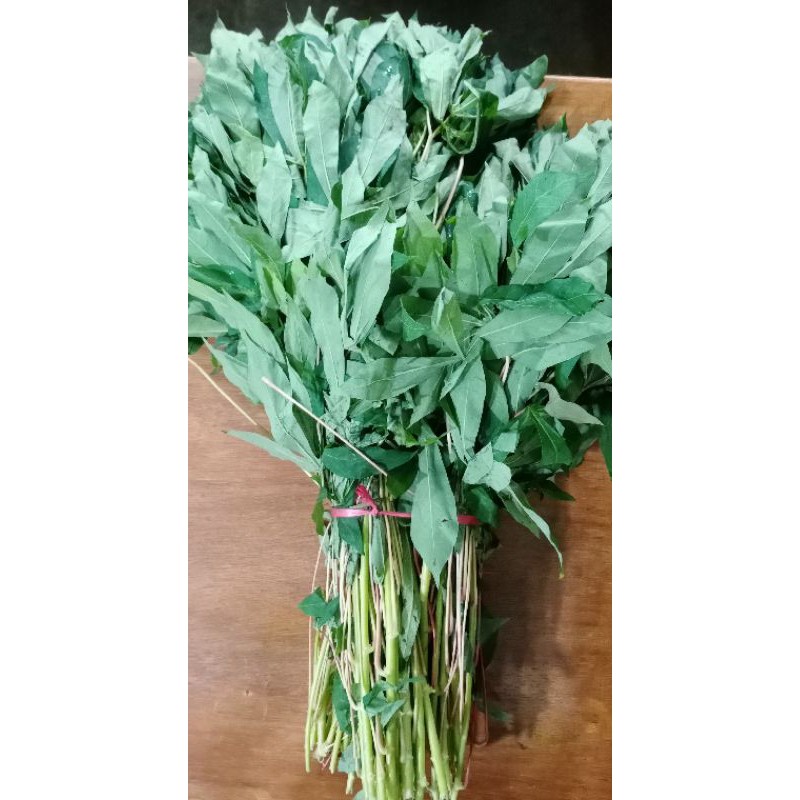 Daun Singkong Fresh 1kg / Sayur Segar