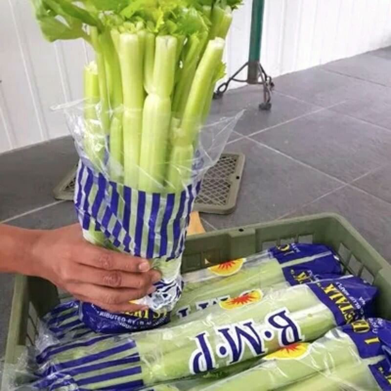 seledri stick import /celery stick impor 1kg