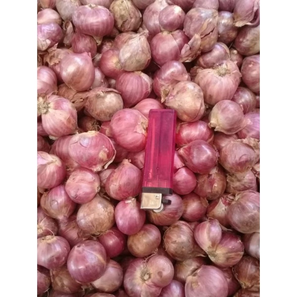 

bawang merah