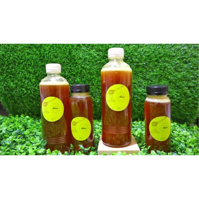 

Madu asli hutan mentawai 500ml