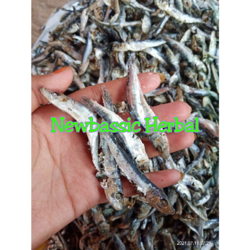 

ikan asin ninis rebus lampung paket hemat 500 gram