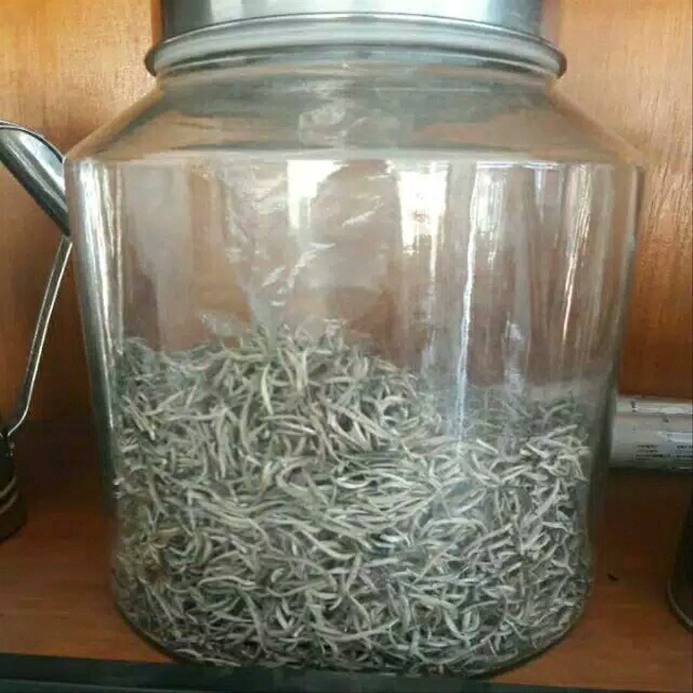 

Teh Putih Kiloan Limited