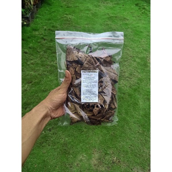 Daun Ketapang Olahan 100 gram Untuk Ikan