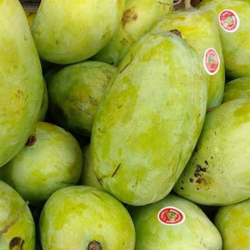

Mangga Budi Raja 1 kg