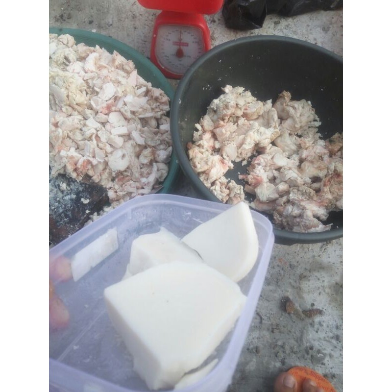 

tallow lemak sapi murni