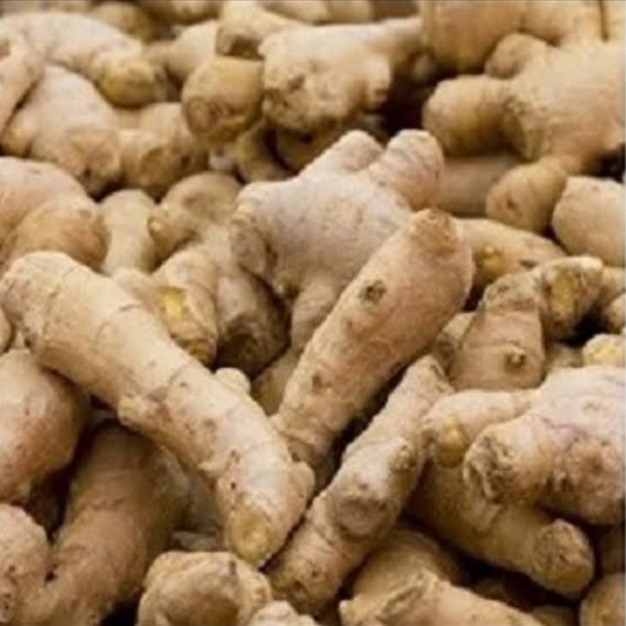 

Jahe Emprit Segar Fresh 1Kg - Herbal Produk