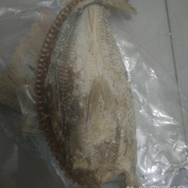 

Ikan asin jambal super.labuan pandeglaang banten