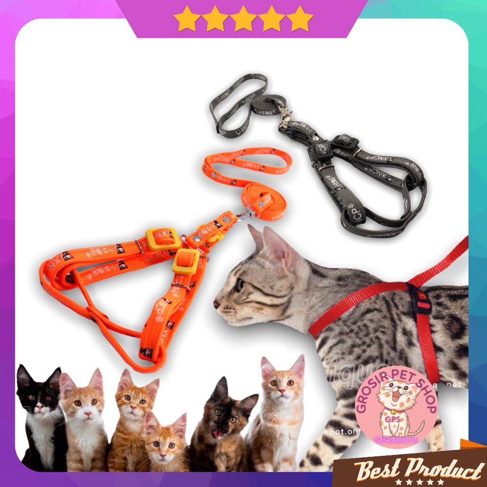 Tali harnes kucing / harness kucing model Y premium