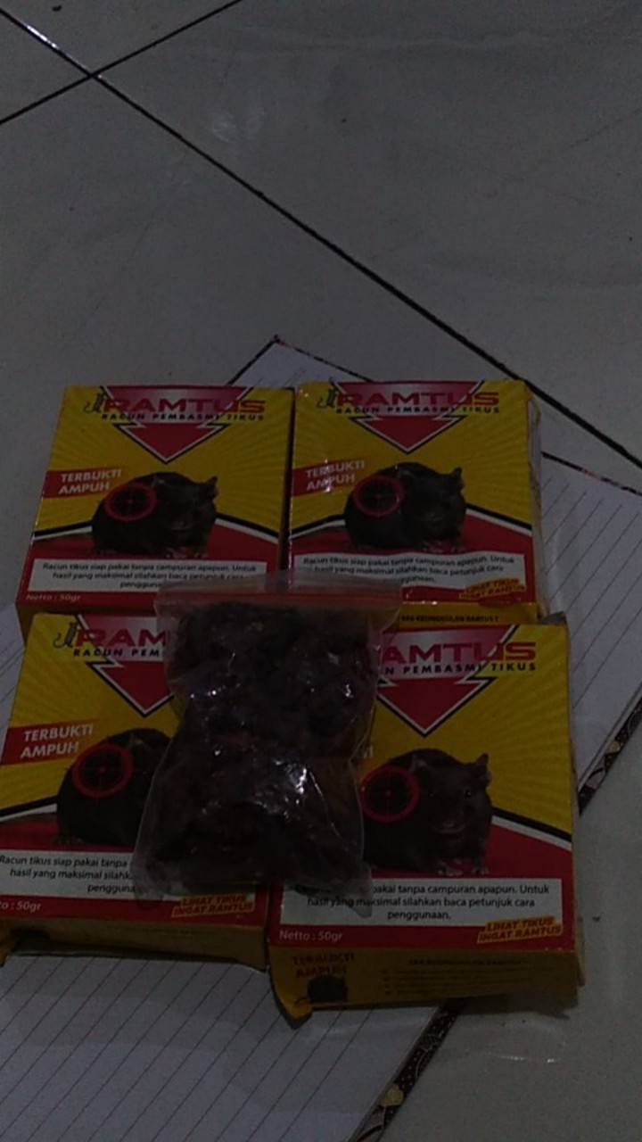 Racun Tikus Ramtus Asli Alami Mati Kering Tidak Bau Pembasmi Pengusir Tikus Super Paling Ampuh 5pack