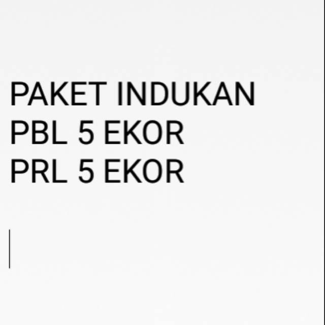 Paket udang hias indukan jenis caridina 747