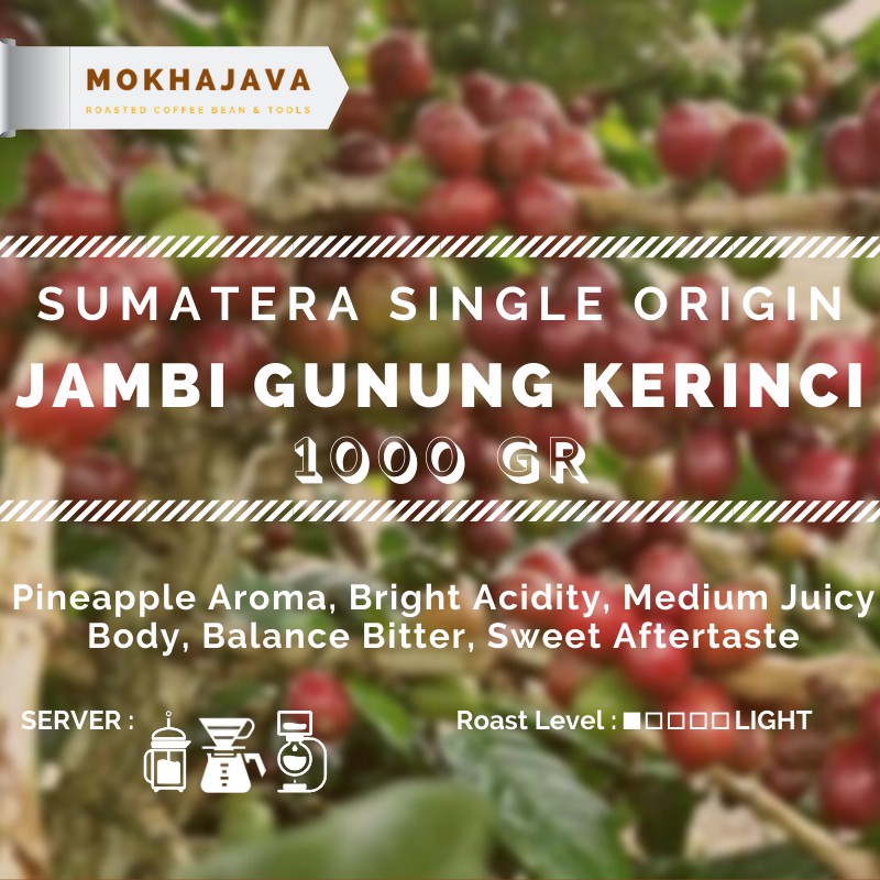 

Jambi Gunung Kerinci Arabica Single Origin Coffee Bean 1000 gr Biji Kopi Arabika