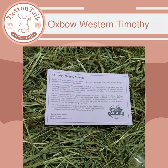 OXBOW Western TIMOTHY Hay 100 GR / Rumput Makanan Kelinci, Cavy