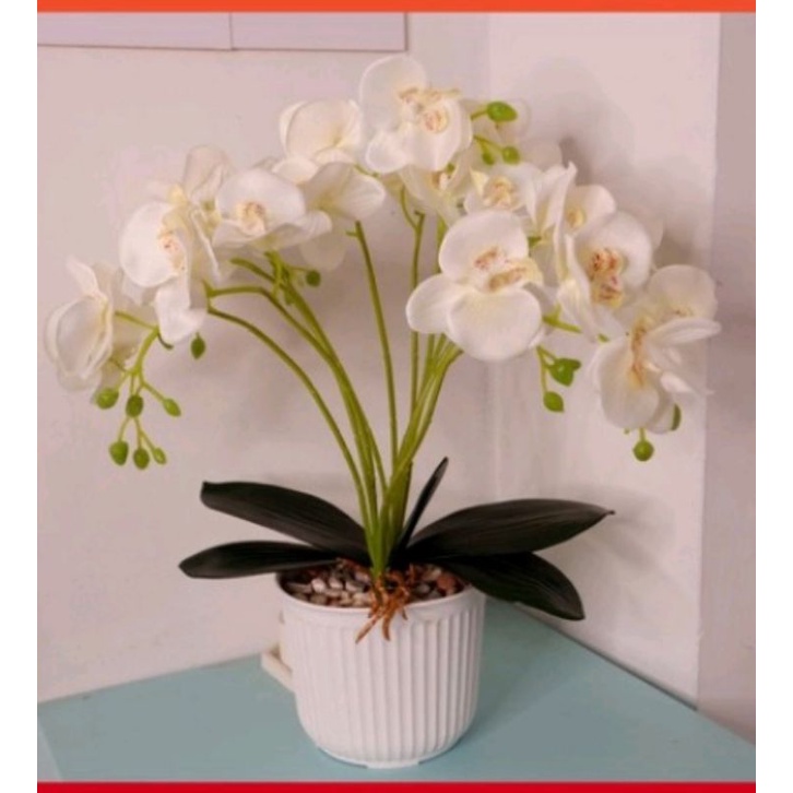 [ PROMO TERMURAH ] Bunga Artificial Anggrek Jumbo - Daun Latex / Semi Latex - Dekorasi Ruang Tamu Mo