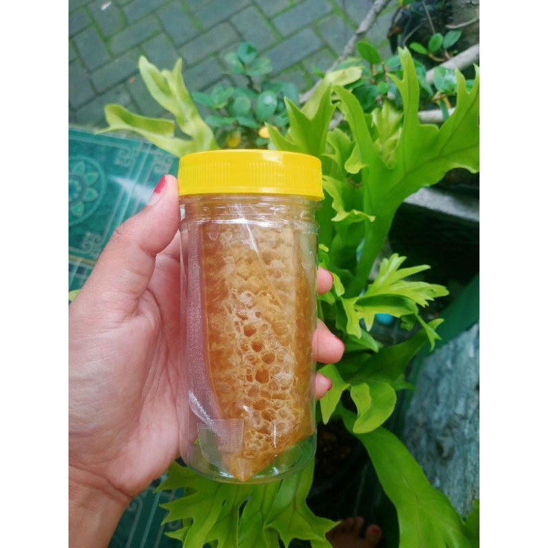 

Sarang Madu 100 gram asli murni dari peternakan