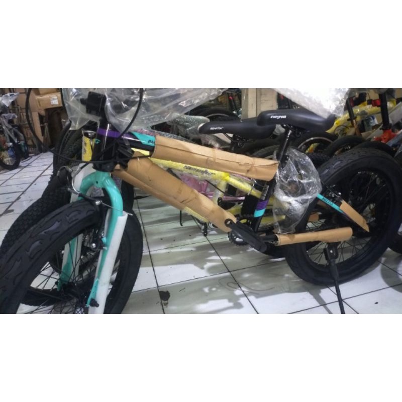 BMX 20 Evergreen ban jumbo