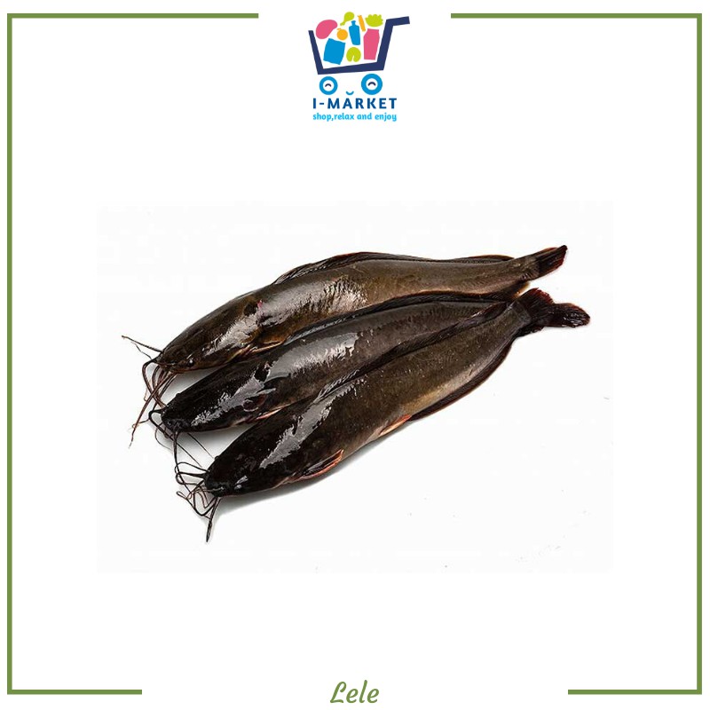 

Ikan Lele Fresh Isi Tidak Tentu berat 1/2 kg dan 1 kg