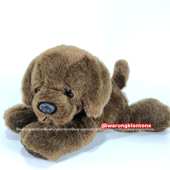 Jual Boneka Anjing Labrador Dog Lil 