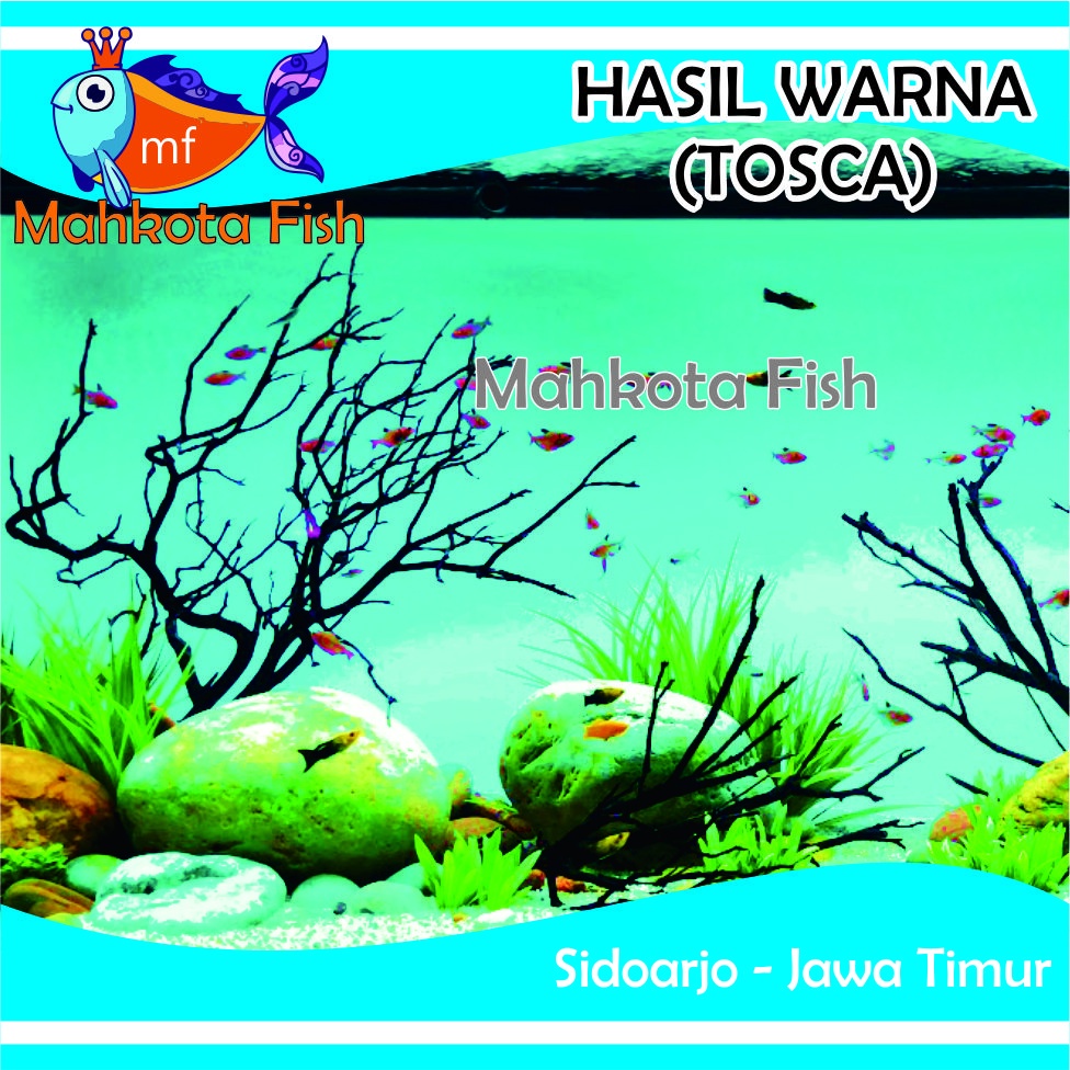 Stiker Aquarium PROMO! | Skotlet Aquarium | Background Aquascape GRATIS PACKING KARDUS