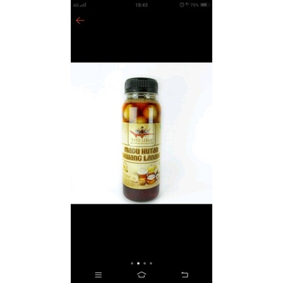

MADU HUTAN BAWANG LANANG/MADU UNTUK PRIA/MADU ASLI BAWANG LANANG