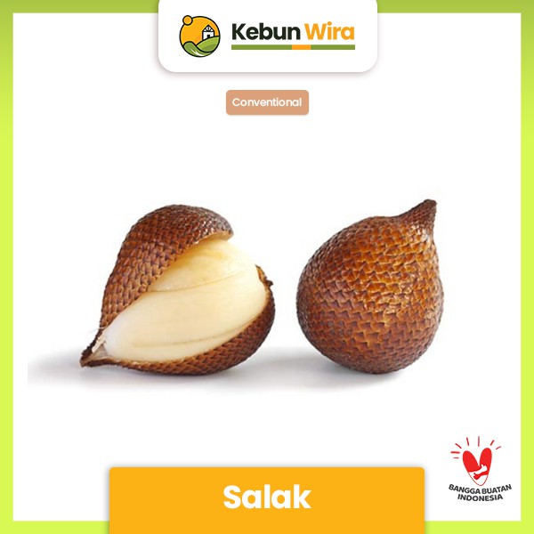 

Salak Conventional 500 gram