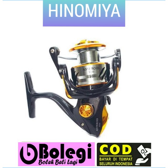 Reel Hinomiya asteroid 3000